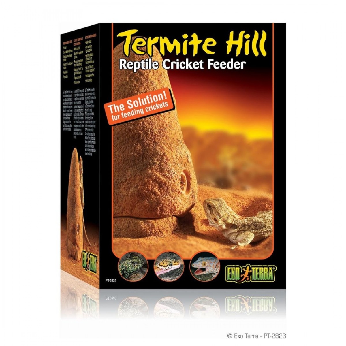 Exo terra cricket feeder hot sale