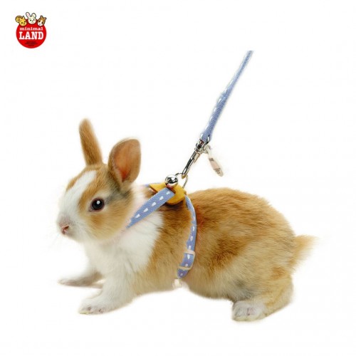 Marukan Rabbit Harness, Blue (MW20B) | Starpet – Distributor of Pet ...