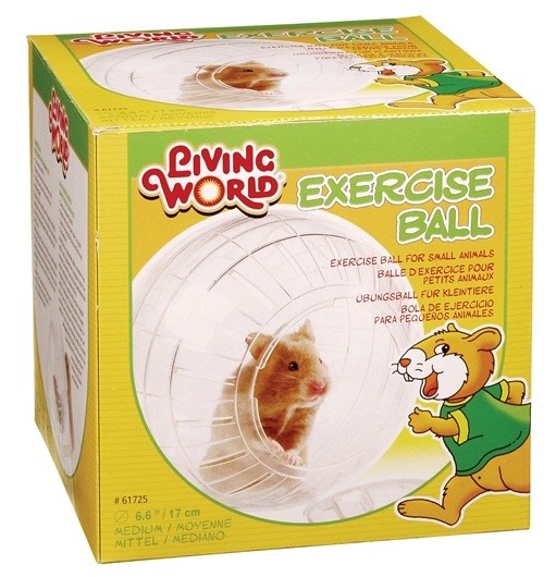 Living World Exercise Ball with Stand Medium (61725)