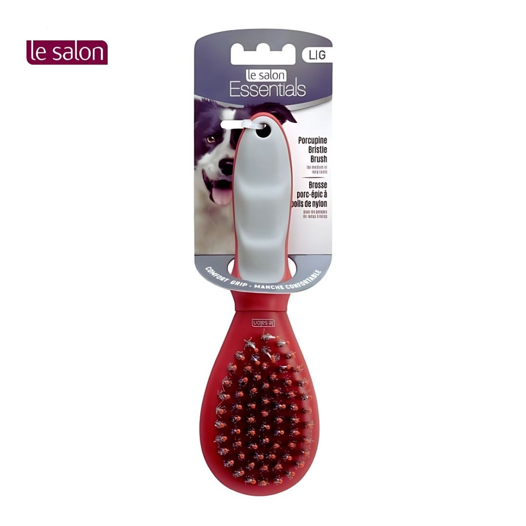 Le Salon Essentials Dog Porcupine Bristle Brush, Large (91224)