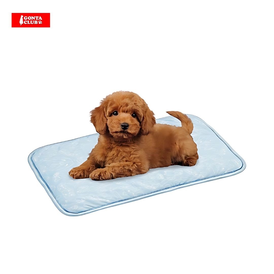 Marukan Small Size Cooling Mat for Dogs & Cats (DA579)