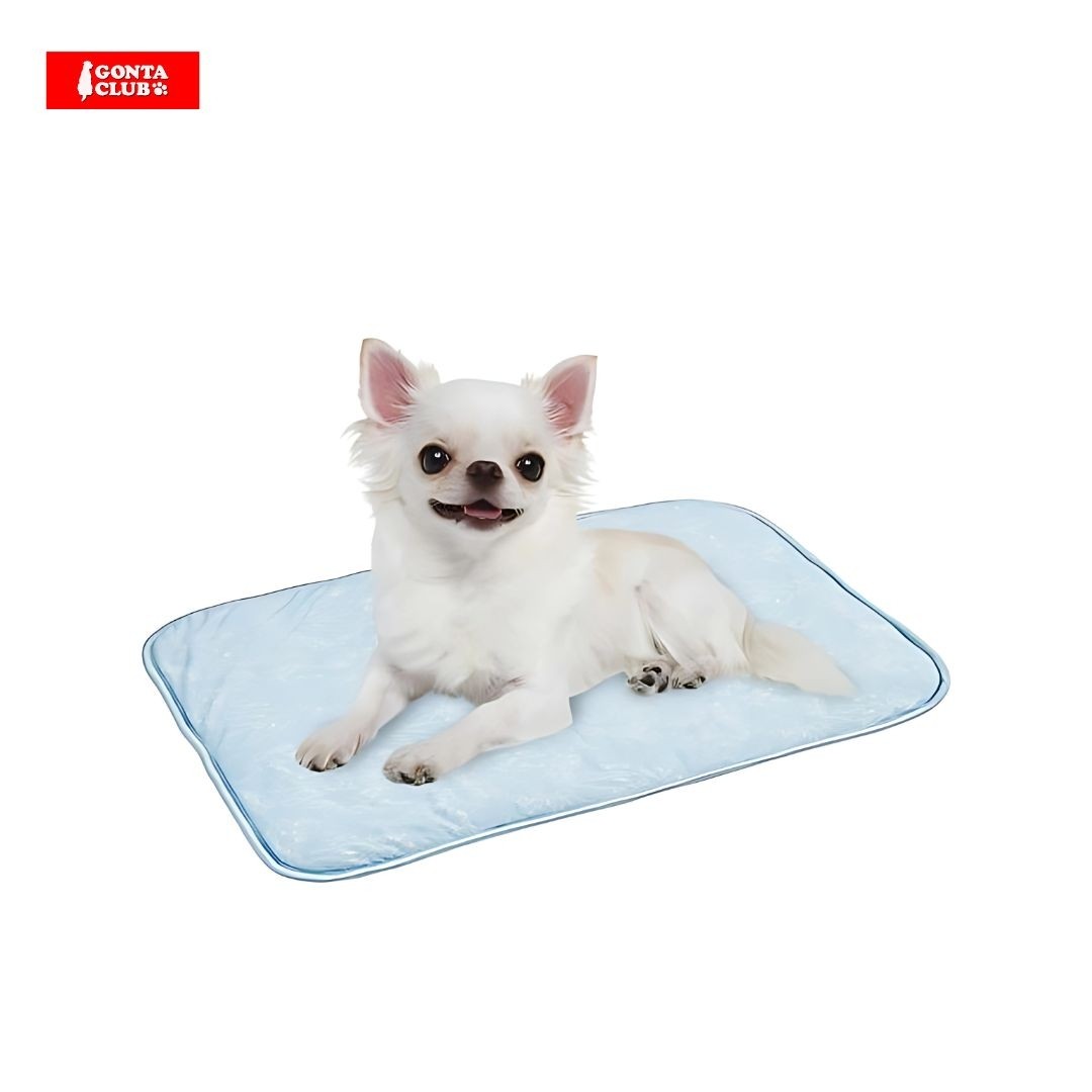 Marukan Regular Size Cooling Mat for Dogs & Cats (DA580)