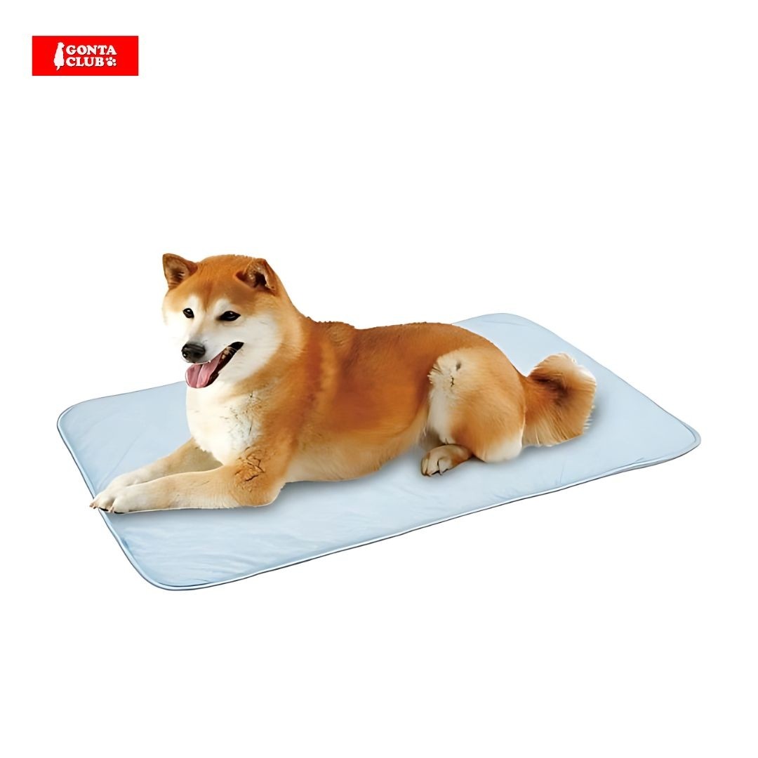 Marukan Wide Size Cooling Mat for Dogs & Cats (DA581)