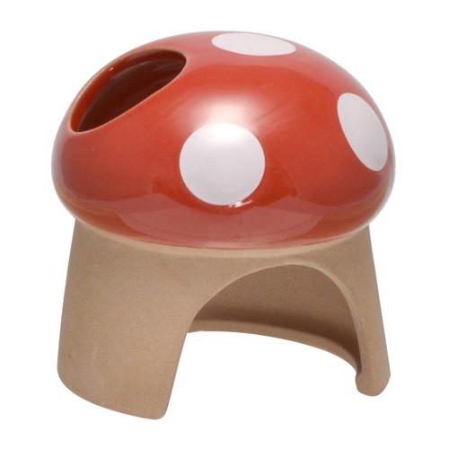 Wild Sanko Earthern House Mushroom (WD539)