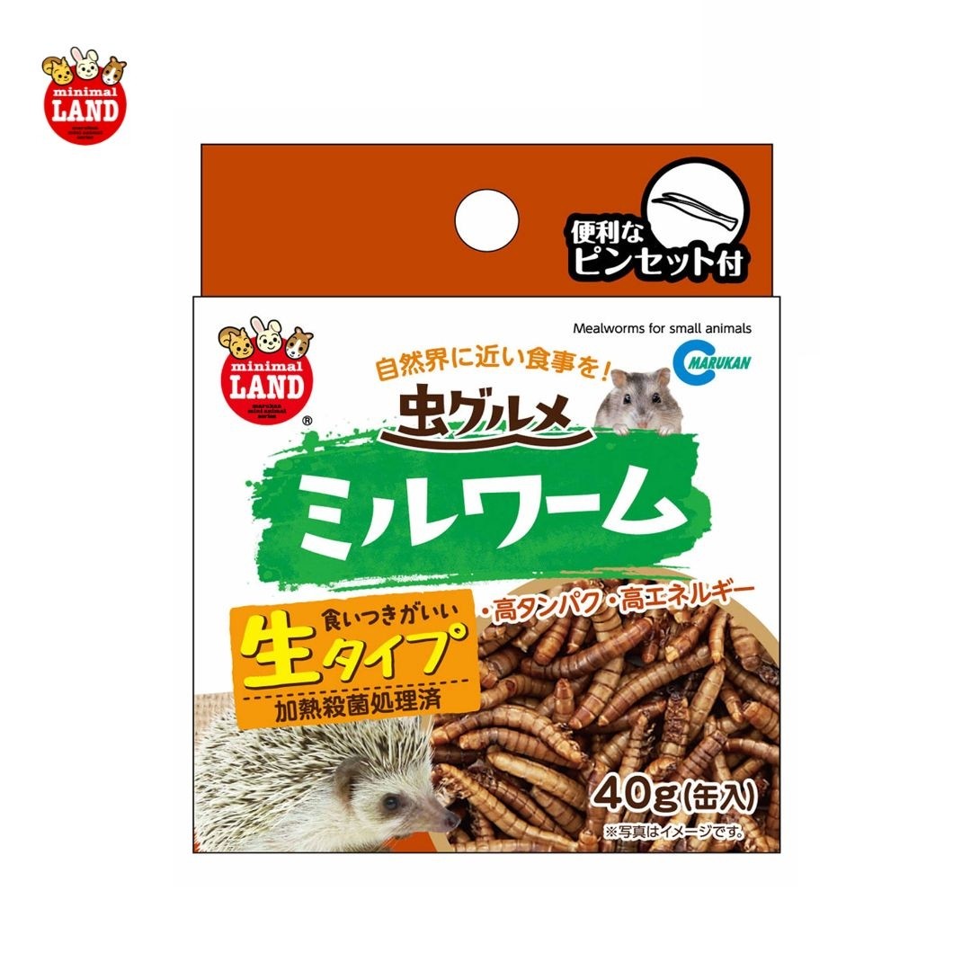 Marukan Mealworms for Small Animals 40g (ML163)