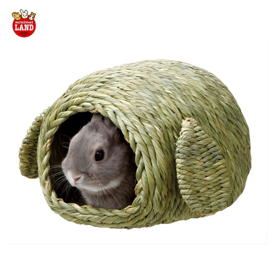 Marukan Timothy House for Small Animals (MR604)