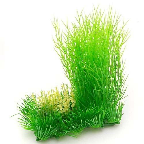 Nisso Aquatic Little Garden 1 (NAP500)
