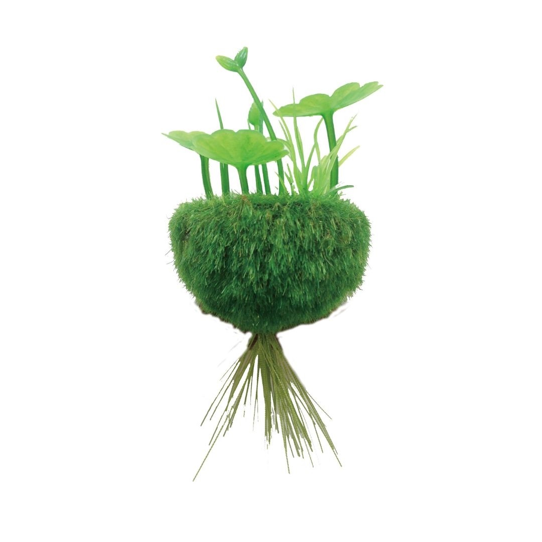 Nisso Table Aqua Floating Healing Moss Ball (NAP573)