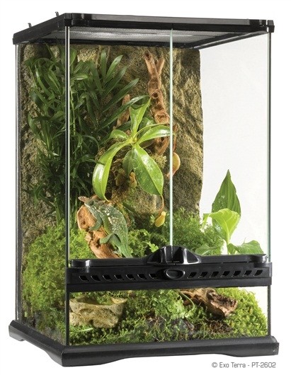 Exo Terra Mini Tall Terrarium (PT2602)