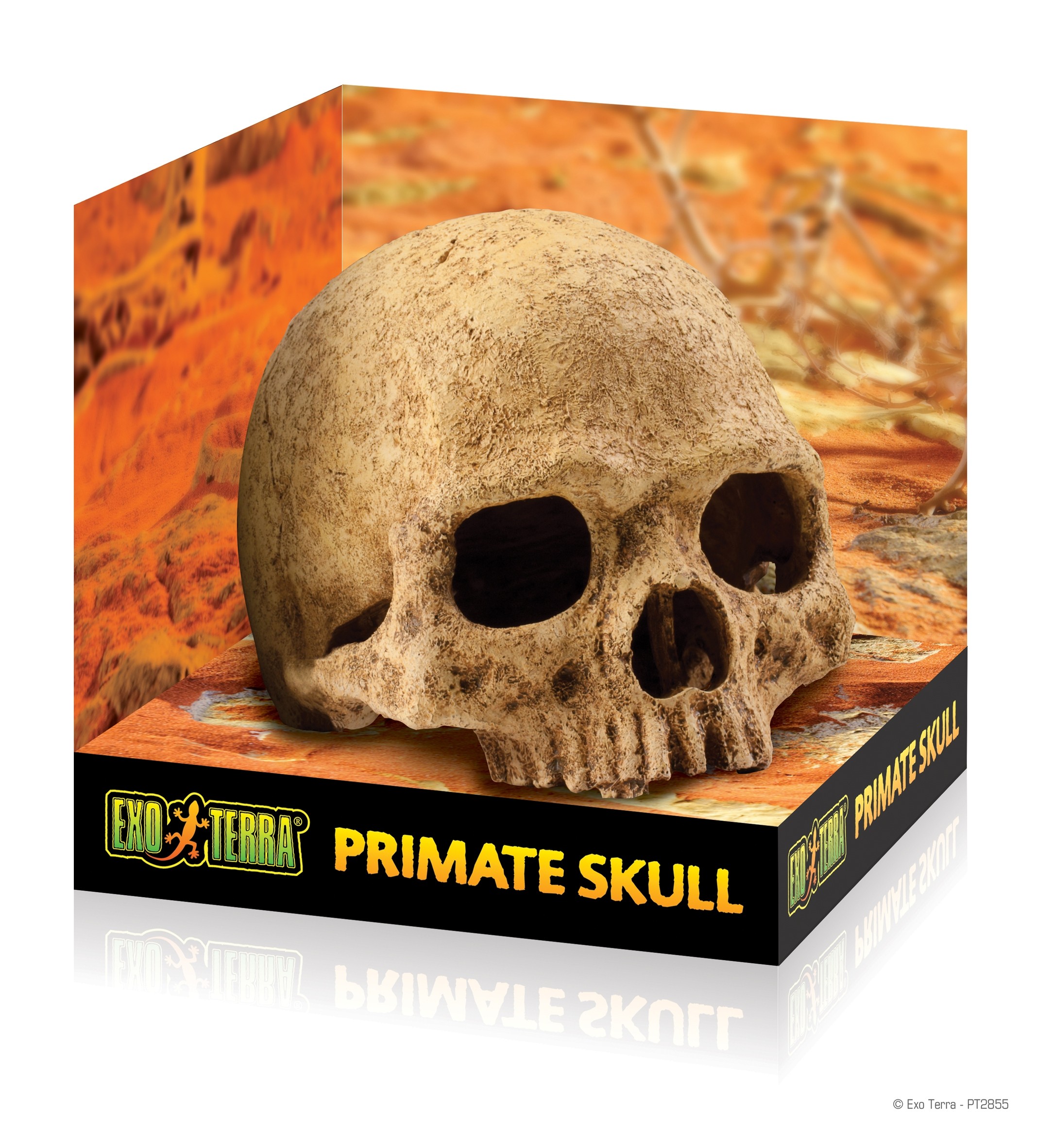 Exo Terra Primate Skull (PT2855)