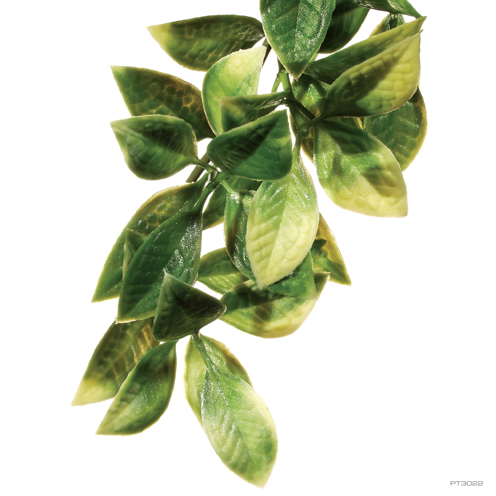 Exo Terra Hanging Rainforest Mandarin Plant, Large (PT3022)