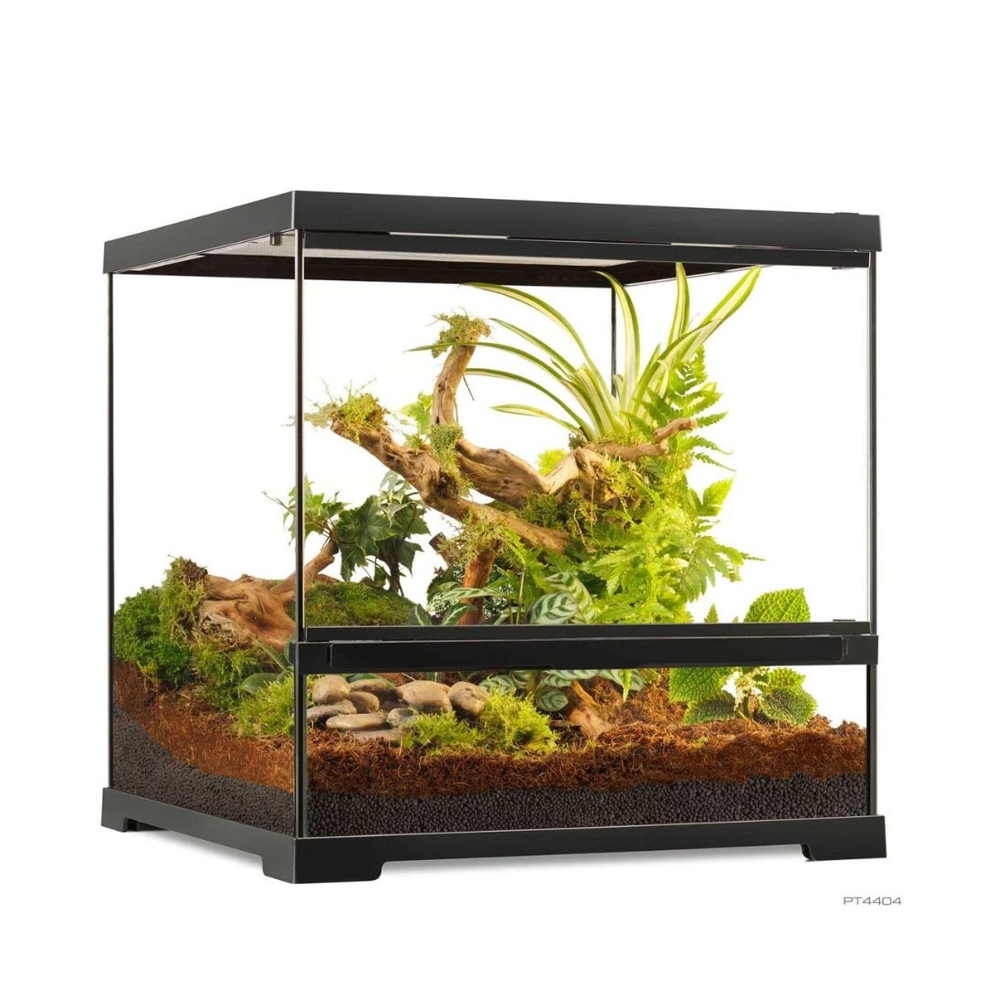 Exo Terra Pro Terrarium Small Wide (PT4404)