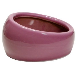Living World Ergonomic Dish Small, 120 mL (4.22 oz) Pink/Ceramic (61684)