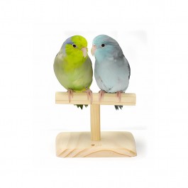 Wild Sanko T-Shape Low Perch for Small Bird (B31)