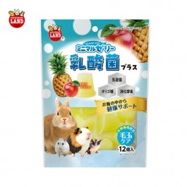 Marukan Tummy-nice Jelly for Small Animals 180g (ML576) NEW