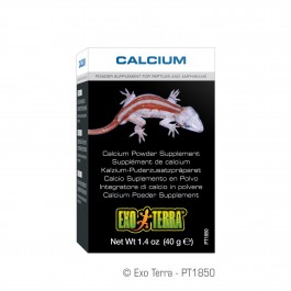 Exo Terra Calcium Powder Supplement 1.4oz 40g (PT1850)