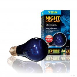 Exo Terra Night Heat Lamp 75w (PT2130)