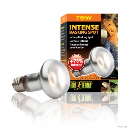 Exo Terra Intense Basking Spot S20 75w (PT2136)